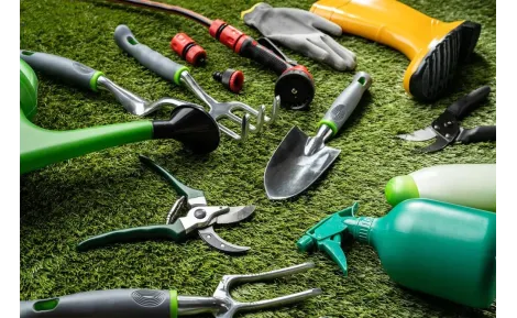 Come preparare l'orto estivo: attrezzature indispensabili e consigli pratici
